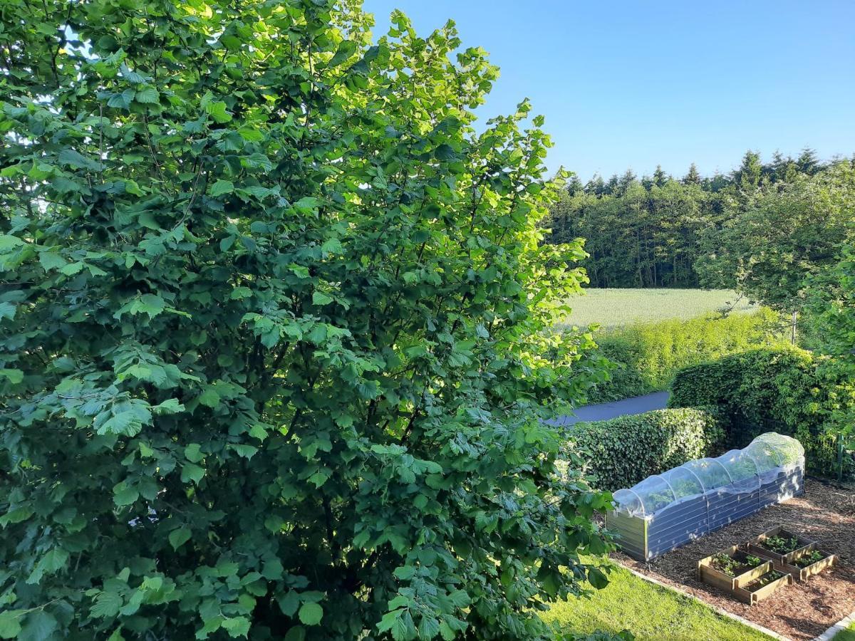 Ferienwohnung Rosi Schleswig Buitenkant foto